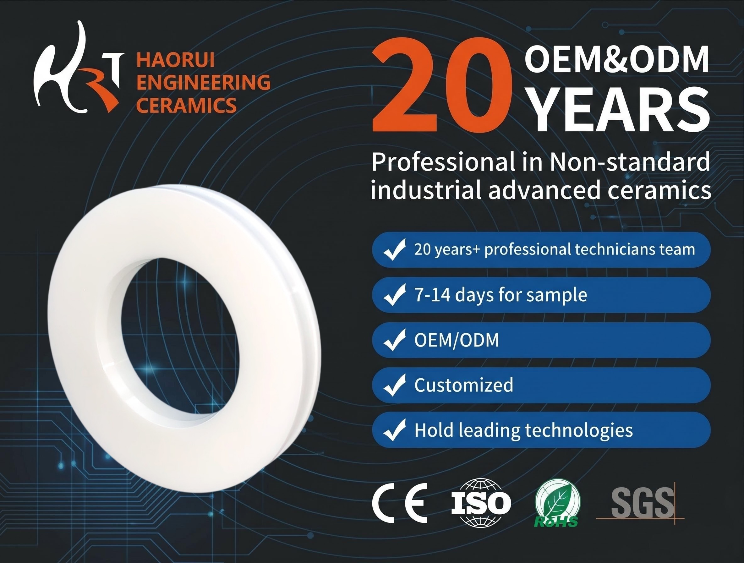 OEM Precision Zirconia Ceramic Guide Ring Advanced Technical Ceramic Components