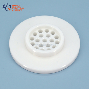 Zirconia Ceramic Perforated Screen Disc | Multi-Hole ZrO2 Filter Plate 01.759.001