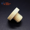 Alumina Ceramic Screws & Bolts | Custom Al2O3 Ceramic Fasteners Manufacturer